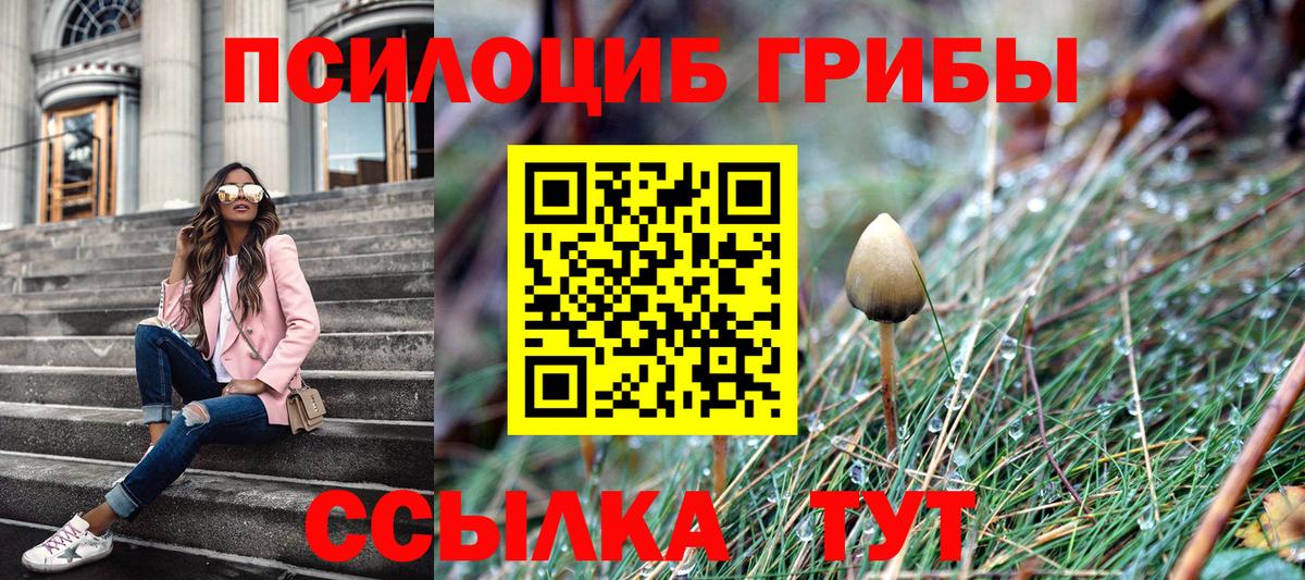 Галлюциногенные грибы Psilocybine cubensis Надым